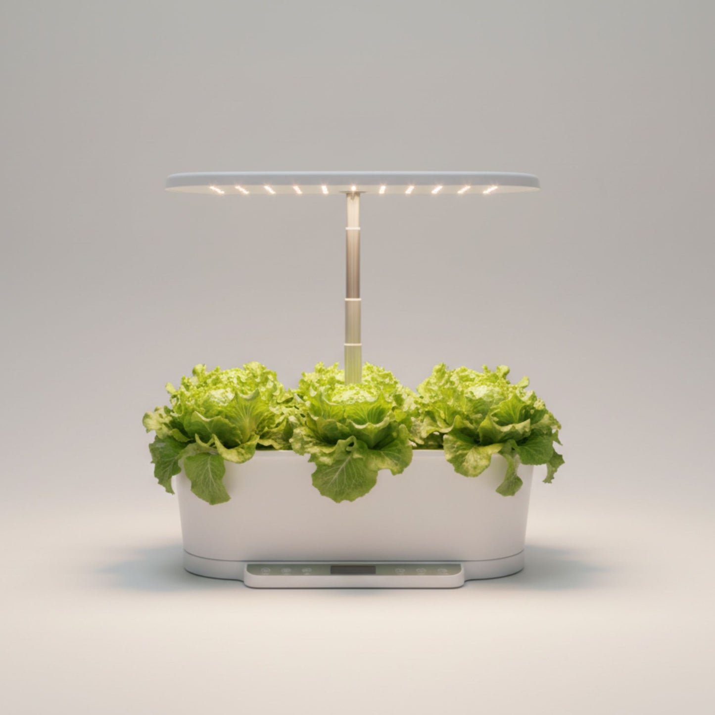 EcoSprout36 hydroponisk dyrkningssystem med Batavia-salat “Blonde de Paris”—sprøde, lysegrønne salathoveder under LED-lys.