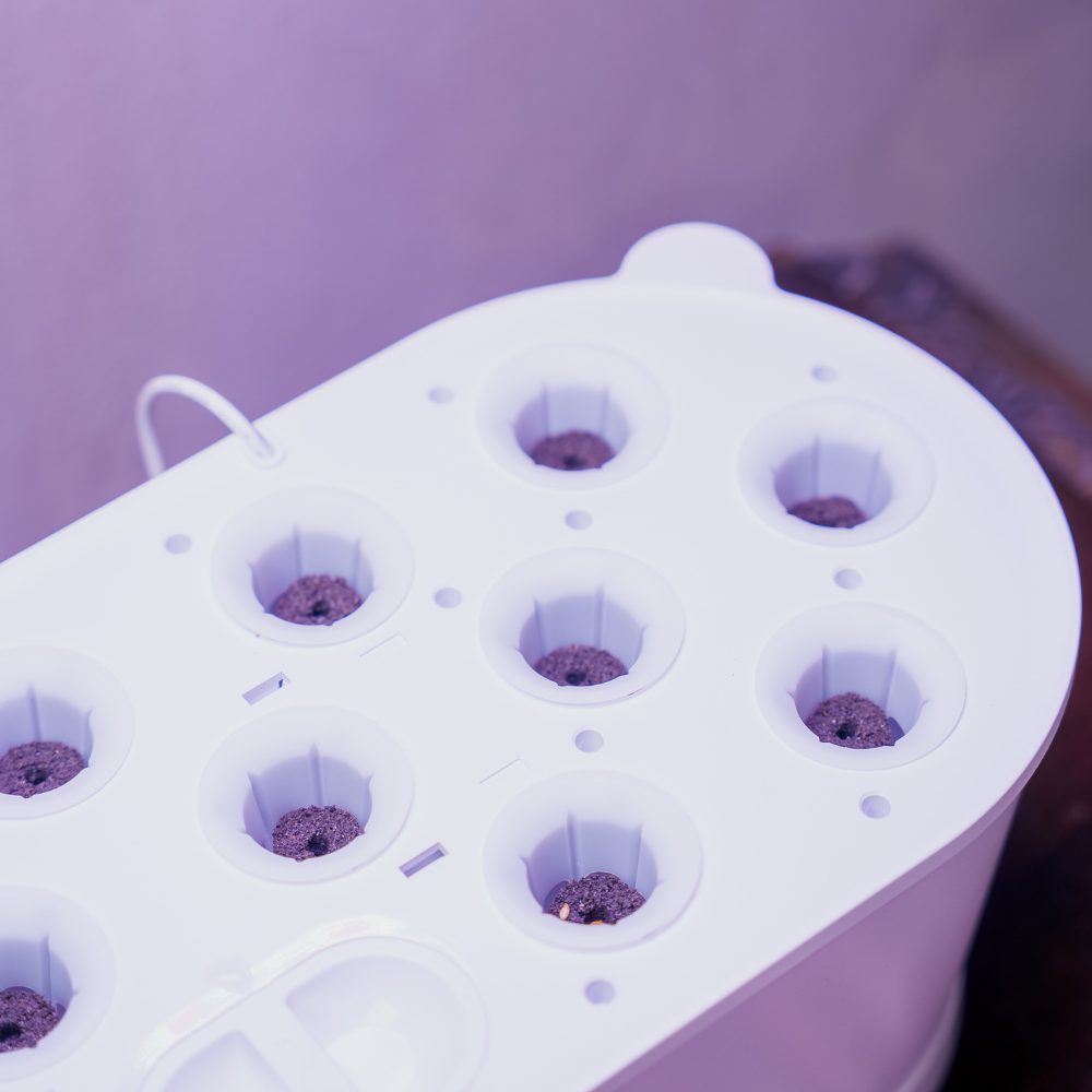 EcoSprout frøpakker med basilikum, persille og rucola