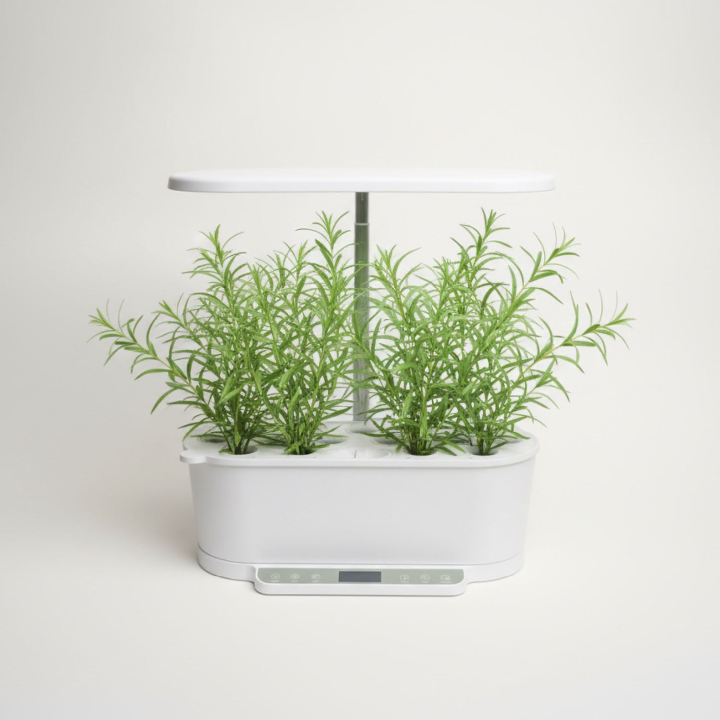 EcoSprout36 hydroponisk dyrkningssystem med estragon (Artemisia dracunculus)—fine, smalle grønne blade på luftige planter under LED-lys.