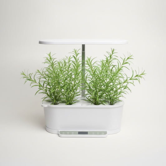 EcoSprout36 hydroponisk dyrkningssystem med estragon (Artemisia dracunculus)—fine, smalle grønne blade på luftige planter under LED-lys.