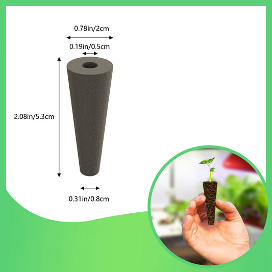 EcoSprout36 gro svamp med størrelsesangivelser og en spire