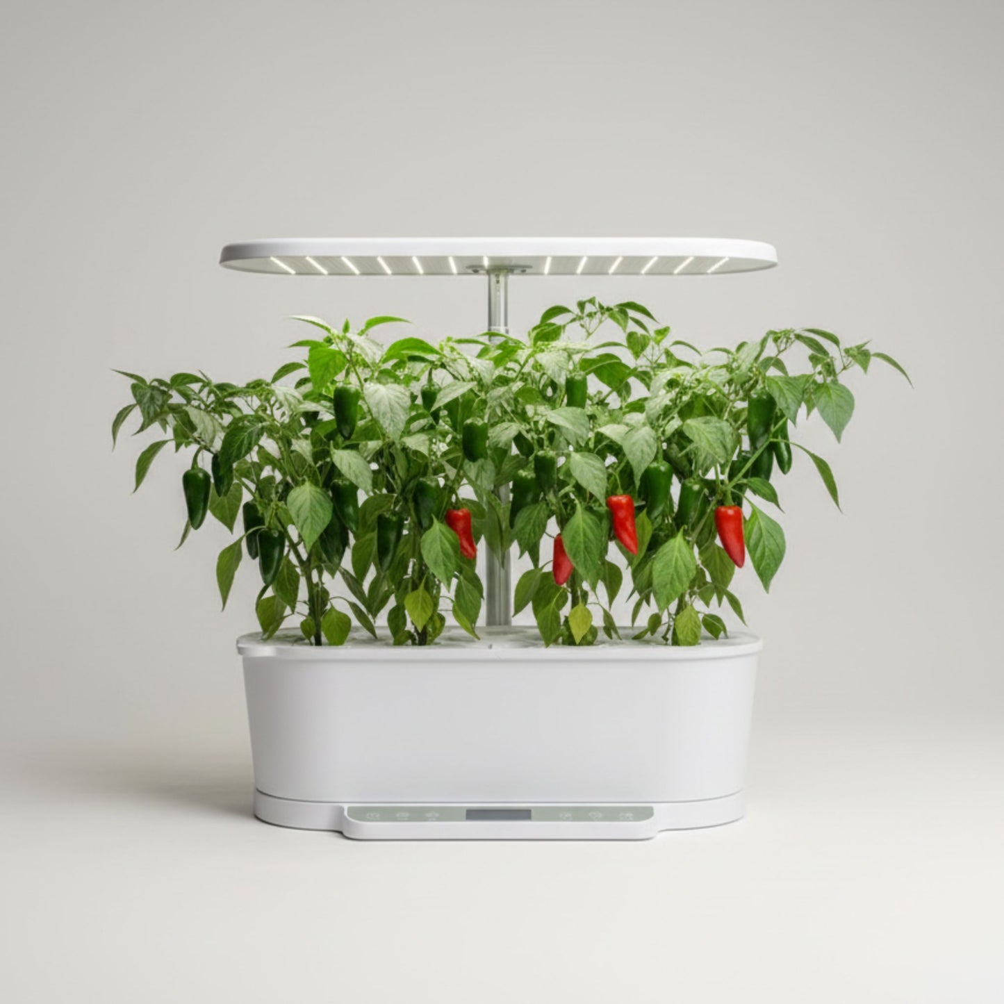 EcoSprout36 hydroponisk dyrkningssystem med jalapeño—grønne planter med grønne og enkelte røde chilier under LED-lys.