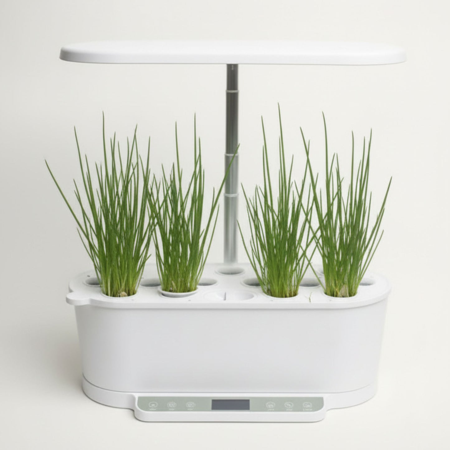 EcoSprout36 hydroponisk dyrkningssystem med purløg “Schmitt”—tætte, grønne purløgstuer med lange, smalle strå under LED-lys.