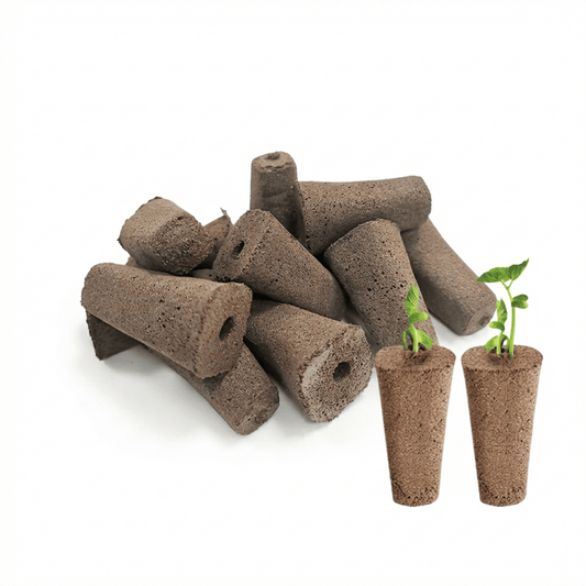 Gro svamp til EcoSprout27