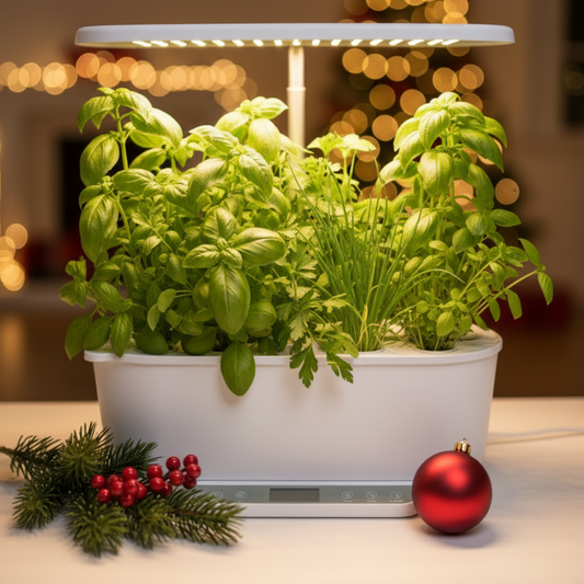 EcoSprout36 hydroponisk system med jordbær og urter - perfekt julegave til hjemmet