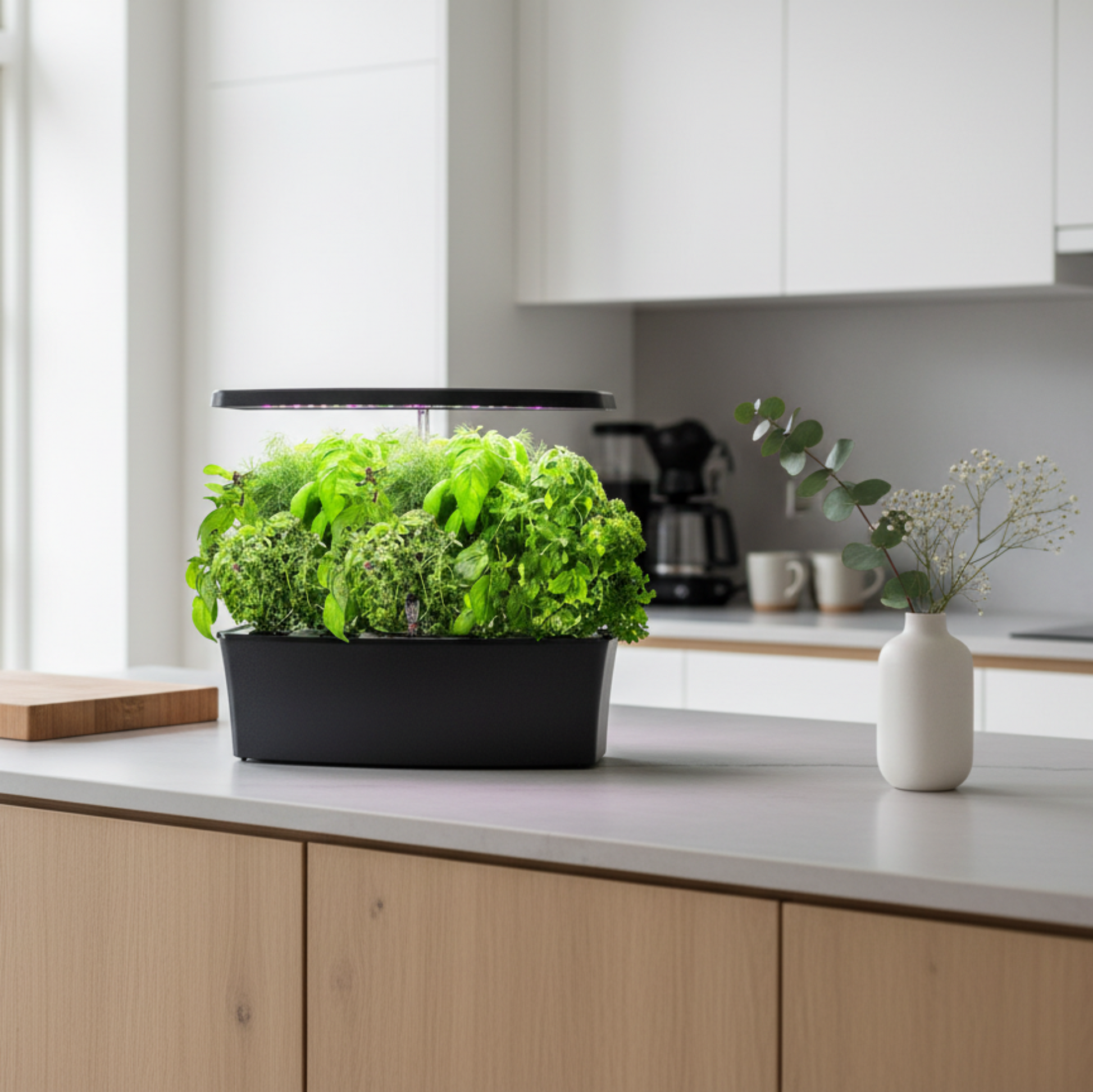 EcoSprout27 på moderne køkkenbord med friske urter - perfekt til danske hjem og lejligheder