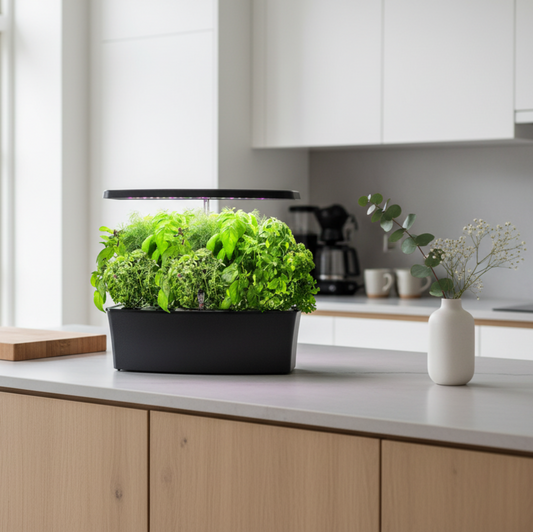 EcoSprout27 på moderne køkkenbord med friske urter - perfekt til danske hjem og lejligheder